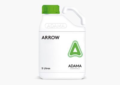 ARROW