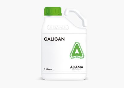 GALIGAN