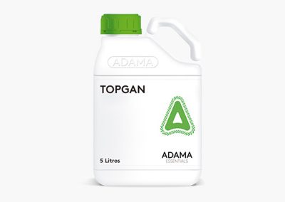TOPGAN