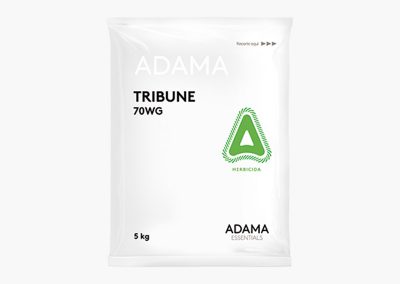 TRIBUNE 70WG