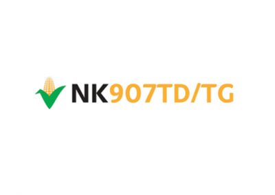 NK907 TD/TG